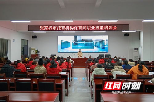 張家界市托育機構保育師職業技能培訓助力家政服務專業化發展