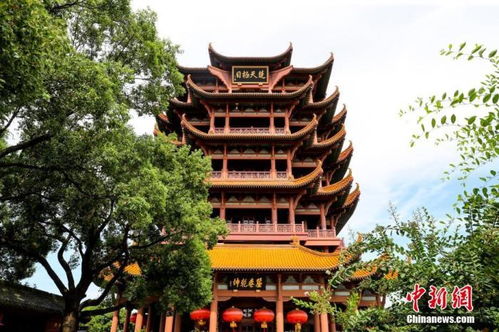 減稅降費(fèi) 為中國(guó)國(guó)內(nèi)旅游市場(chǎng)注入新活力